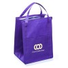 Toorak Cooler Bags Angle